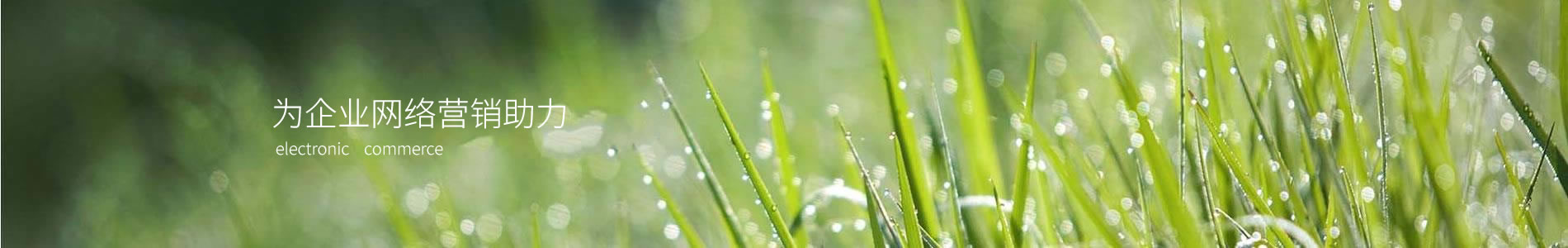 Ϻ˻еƼ޹˾